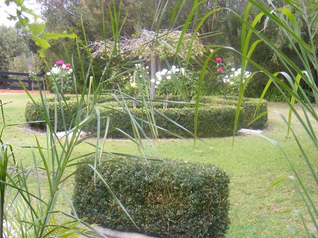 Weeroona Bed And Breakfast Rye Chambre photo
