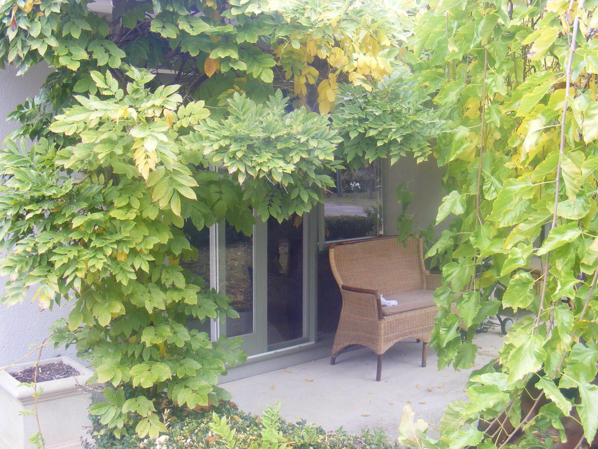 Weeroona Bed And Breakfast Rye Extérieur photo