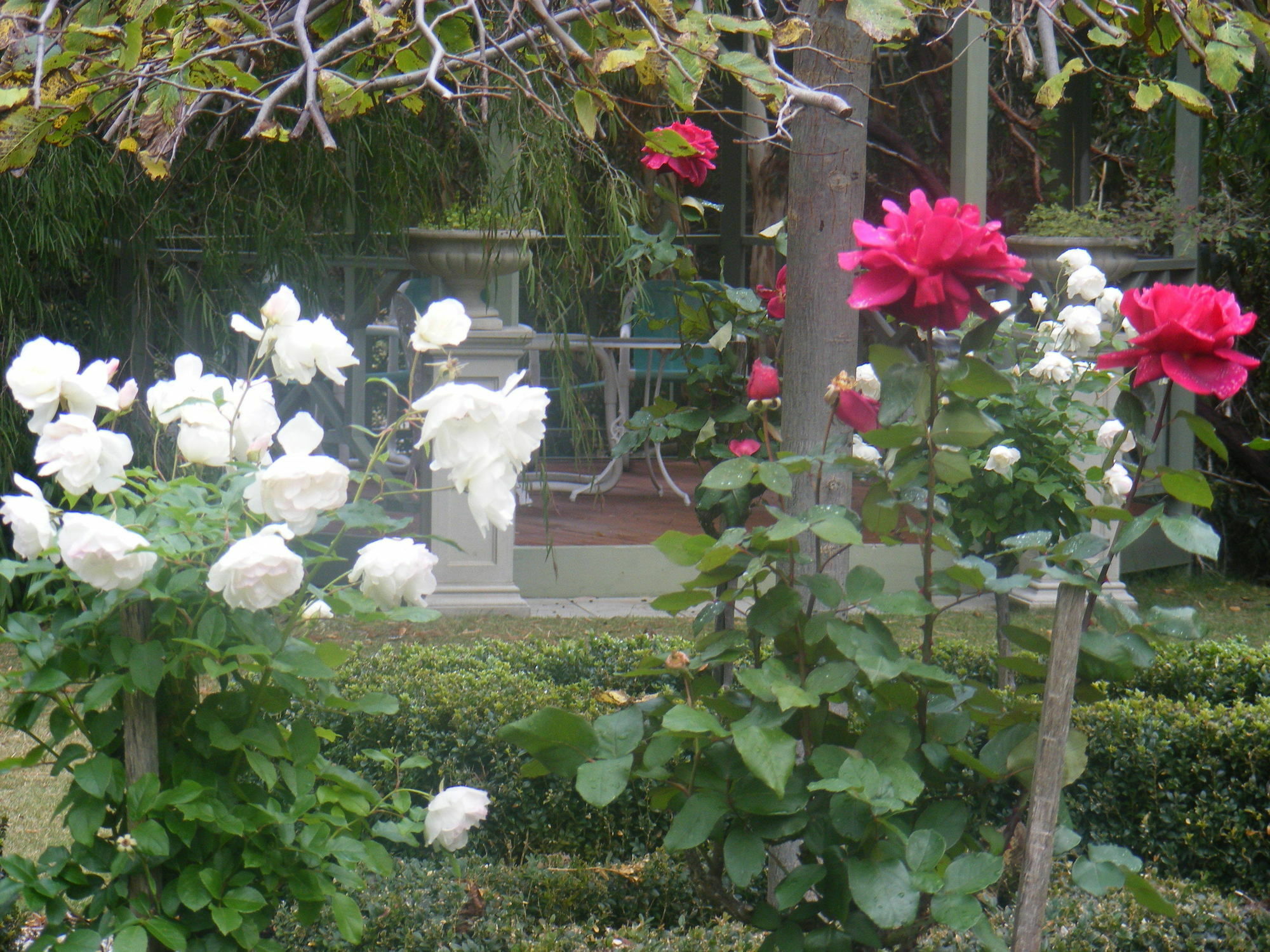 Weeroona Bed And Breakfast Rye Extérieur photo